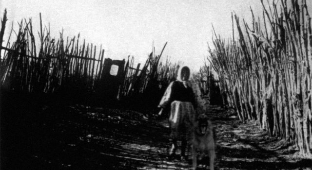 【靈異照片】詭異女子造成民俗學家失蹤?查理.諾南的最後一張照片 【靈異照片】詭異女子造成民俗學家失蹤?查理.諾南的最後一張照片