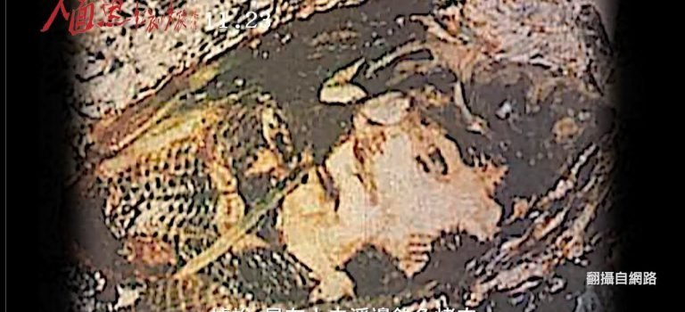 【都市傳說】魚肉好吃嘸?人面魚傳說的畸形恐懼 【都市傳說】魚肉好吃嘸?人面魚傳說的畸形恐懼