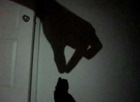 【酒吧怪談🥃】基隆鬧鬼？鬼手🖐出沒仁愛區！