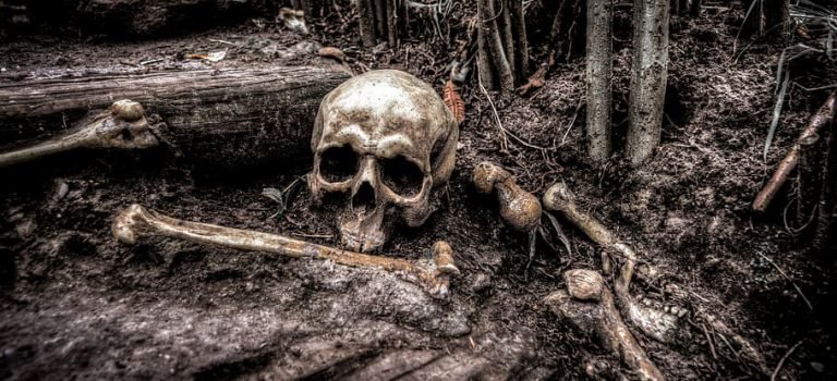 【詭異事件】燒盡獨裁者的一把火,卻燒出了臺大學生盜墓之罪 【詭異事件】燒盡獨裁者的一把火,卻燒出了臺大學生盜墓之罪