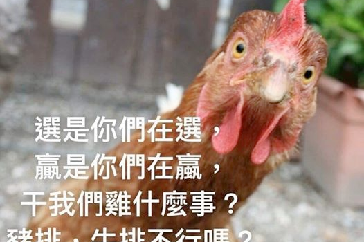 【酒吧怪談🥃】過度吃雞會遭報應⁉小心雞的復仇🐔