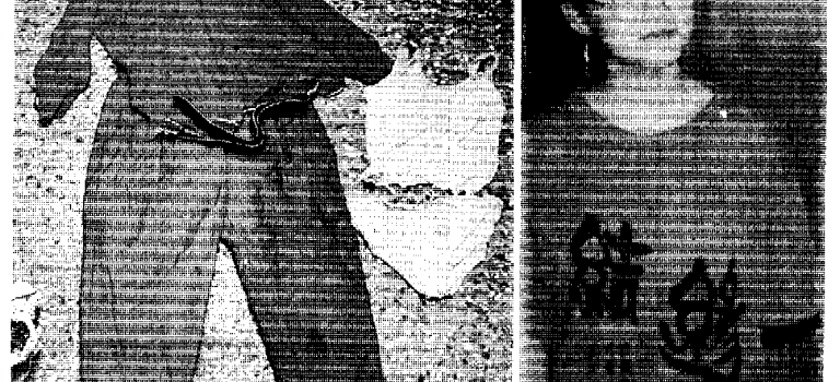 【離奇命案】黃佩芬命案:在鬧區花店消失的少女,一年前早已命喪木柵山區? 【離奇命案】黃佩芬命案:在鬧區花店消失的少女,一年前早已命喪木柵山區?