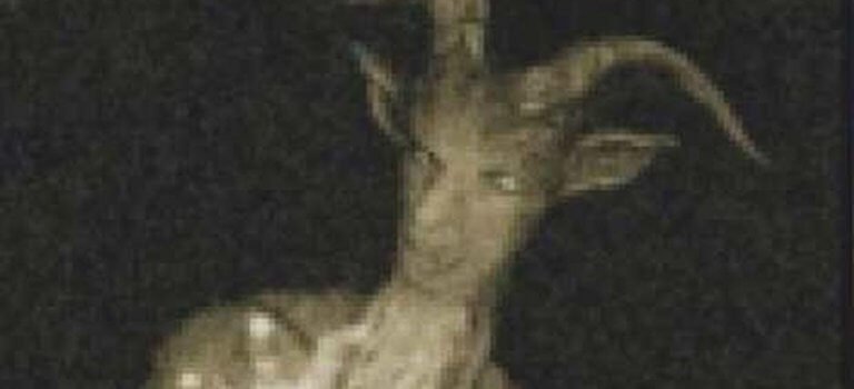 【怪物目擊】波普利克羊角怪：恐怖怪物催眠路人奪命！還是好奇心殺死人？