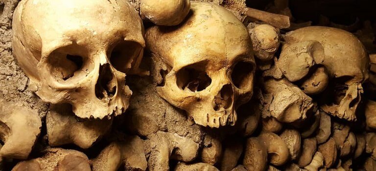 【詭異事件】八丈島火葬場人骨事件：「七人」的詛咒？莫名在火葬場出現的七具無名骨骸是誰？